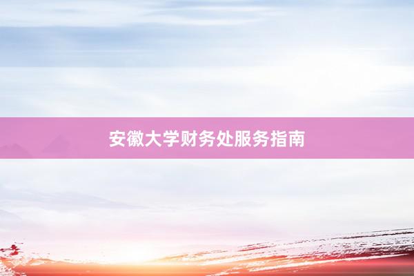 安徽大学财务处服务指南