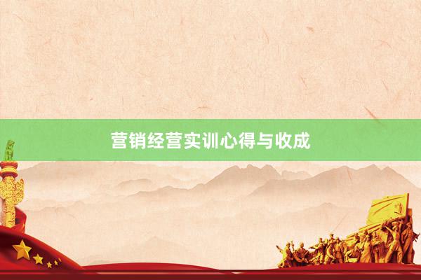 营销经营实训心得与收成